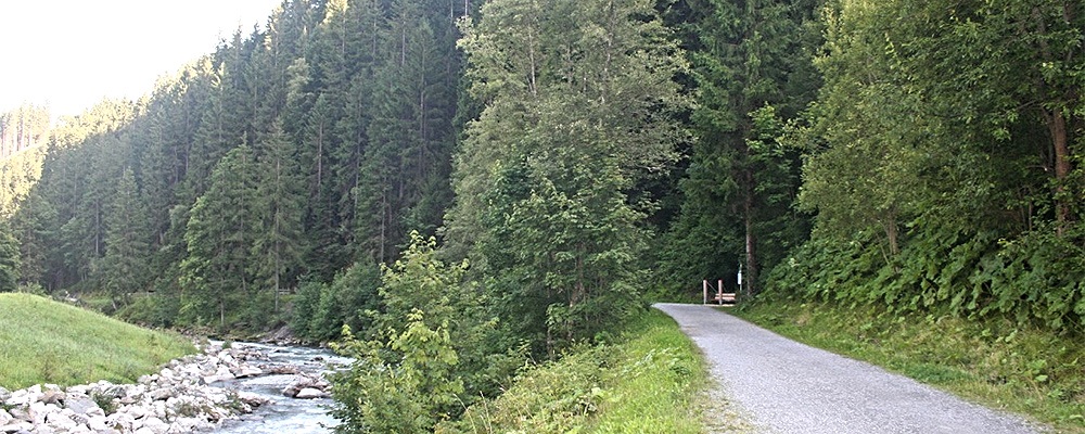 Der Saalbacher Motorikweg befindet sich mitten in der freien Natur. 